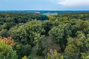 145 Eagle Ridge Ln, Winfield, MO 63389 - Photo 38