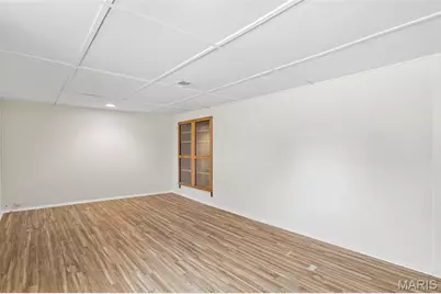 4317 Tyrolean Avenue, Saint Louis, MO 63116 - Photo 32