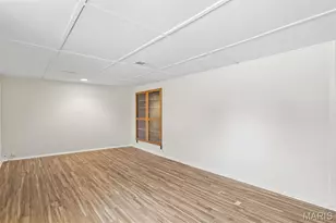 4317 Tyrolean Ave, Saint Louis, MO 63116 - Photo 32