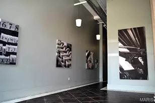 1627 Locust St, Saint Louis, MO 63103 - Photo 34