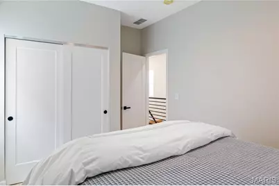 3005 Missouri Avenue, Saint Louis, MO 63118 - Photo 28