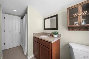 4604 Delor St, Saint Louis, MO 63116 - Photo 16