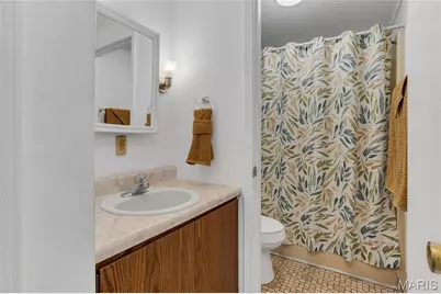 211 Blueberry Drive, De Soto, MO 63020 - Photo 16