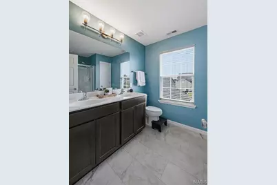 707 Switchgrass Drive, Wentzville, MO 63385 - Photo 20