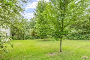 1572 Rue Calais, Bonne Terre, MO 63628 - Photo 56