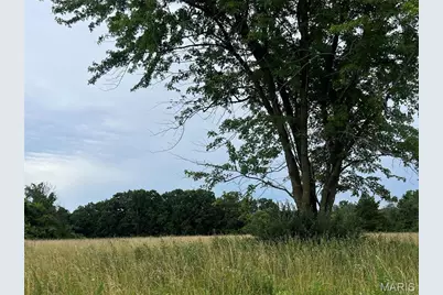 0 Blue Bird Hill Lane (6 +/- Acres), Foley, MO 63347 - Photo 2