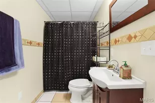 119 Country Club Parc Ct, Imperial, MO 63052 - Photo 18