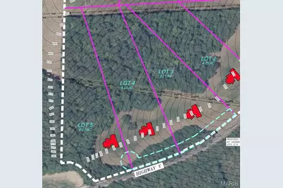 Hwy V Highway, Villa Ridge, MO 63089 - Photo 2