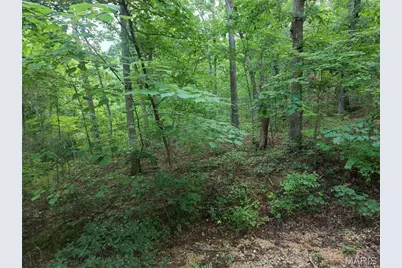 404 Saturn Lane, Lonedell, MO 63060 - Photo 4