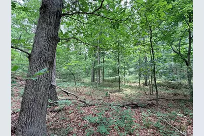 416+- Acres Christy Mine Road, Bourbon, MO 65441 - Photo 30