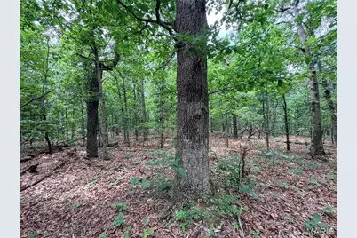 416+- Acres Christy Mine Road, Bourbon, MO 65441 - Photo 32