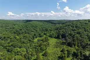 416+- Acres Christy Mine Rd, Bourbon, MO 65441 - Photo 1