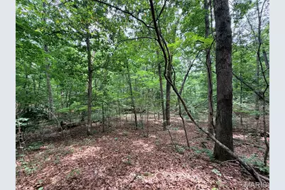 416+- Acres Christy Mine Road, Bourbon, MO 65441 - Photo 34