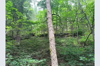416+- Acres Christy Mine Road, Bourbon, MO 65441 - Photo 38