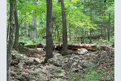 416+- Acres Christy Mine Road, Bourbon, MO 65441 - Photo 62