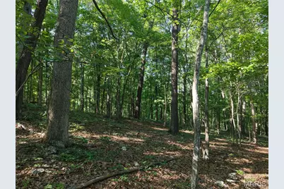 416+- Acres Christy Mine Road, Bourbon, MO 65441 - Photo 20
