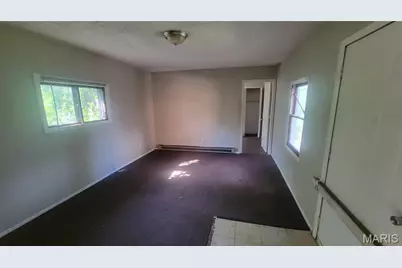 3719 Neosho Street, Saint Louis, MO 63116 - Photo 8