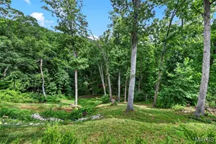 3603 Antonia Woods Dr, Imperial, MO 63052 - Photo 52