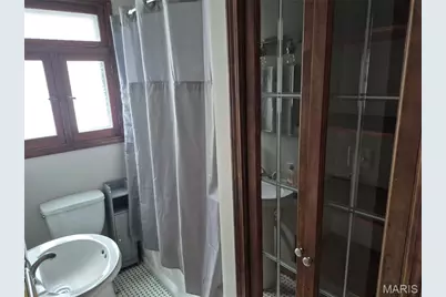 3919 Delor Street, Saint Louis, MO 63116 - Photo 12
