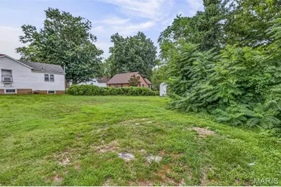 310 Moore Street, Festus, MO 63028 - Photo 4