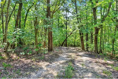 5965 Evergreen Lane, Villa Ridge, MO 63089 - Photo 76