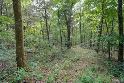1971 Epple Road, Hermann, MO 65041 - Photo 96