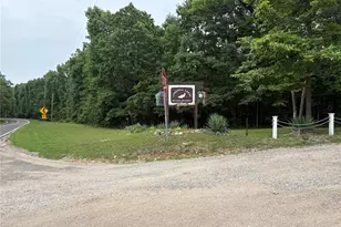 123 Monty Ln, Lonedell, MO 63060 - Photo 46
