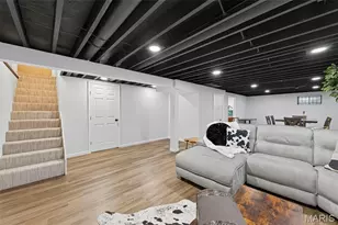 347 Lillian Ave, Saint Louis, MO 63122 - Photo 22