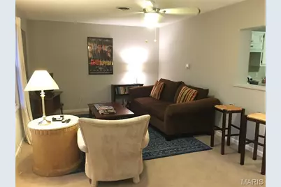 5221 Bischoff Avenue, Saint Louis, MO 63110 - Photo 56