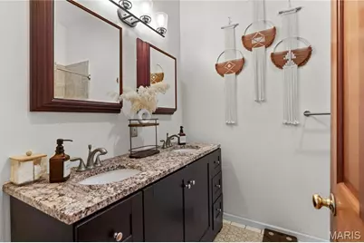 1115 Lynch Street, Saint Louis, MO 63118 - Photo 10
