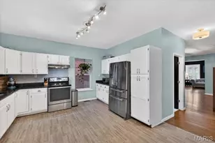 4161 Flad Ave, Saint Louis, MO 63110 - Photo 14