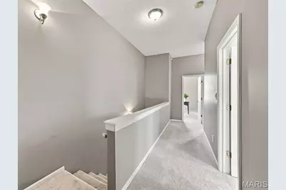 3423 Magnolia Avenue, Saint Louis, MO 63118 - Photo 38