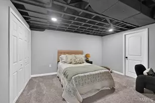 1067 Wilson Ave, Saint Louis, MO 63130 - Photo 36