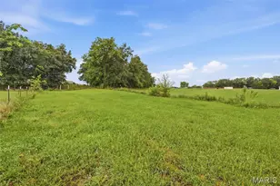8041 Hwy D, Bonne Terre, MO 63628 - Photo 54