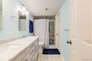 114 W Pine Pl, Saint Louis, MO 63108 - Photo 28