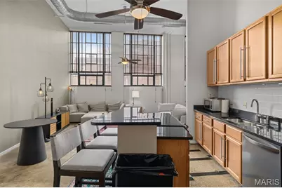 1720 Chouteau Avenue #102, Saint Louis, MO 63103 - Photo 2