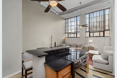 1720 Chouteau Avenue #102, Saint Louis, MO 63103 - Photo 8