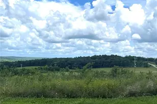 15639 State Hwy 185, Potosi, MO 63664 - Photo 4