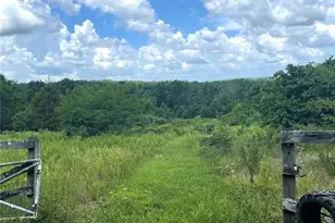 15639 State Hwy 185, Potosi, MO 63664 - Photo 12