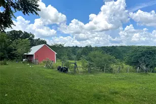 15639 State Hwy 185, Potosi, MO 63664 - Photo 8