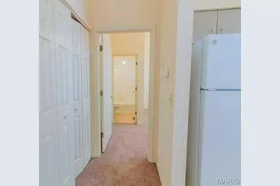 2328 S 9th Street, Saint Louis, MO 63104 - Photo 6