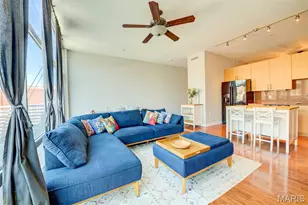 9 N Euclid Ave, Saint Louis, MO 63108 - Photo 8