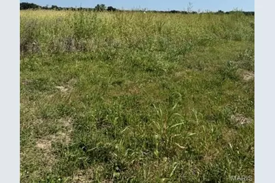 0 Lot 2 Mikathric Estates, Warrenton, MO 63383 - Photo 4