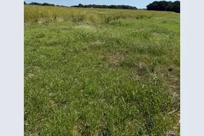 0 Lot 8 Mikathric Estates, Warrenton, MO 63383 - Photo 8