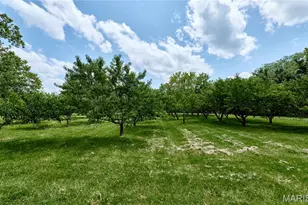 107 N Chantilly Rd, Winfield, MO 63389 - Photo 58