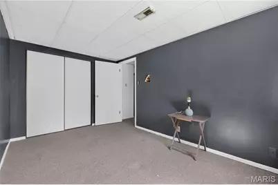 9958 Column Drive, Hillsboro, MO 63050 - Photo 42