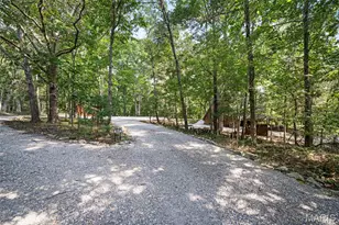 411 Cervina Beach Dr, Innsbrook, MO 63390 - Photo 42