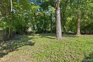10537 Earl Dr, Saint Louis, MO 63136 - Photo 26