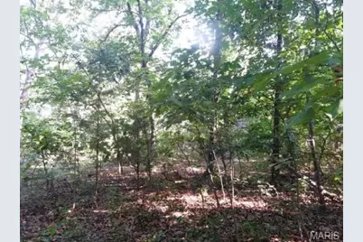 00 Lot 2 Victoria Woods Drive, De Soto, MO 63050 - Photo 8