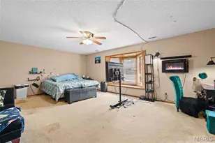 2362 Rock N Horse Farms Dr, Festus, MO 63028 - Photo 28